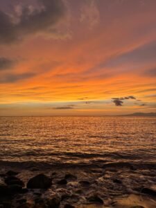 2bcc877b-f09d-4a5a-b9dd-a84a40663064