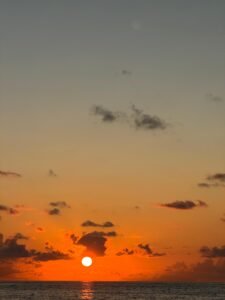 99fe86d7-2708-455b-9294-17b0ada24758